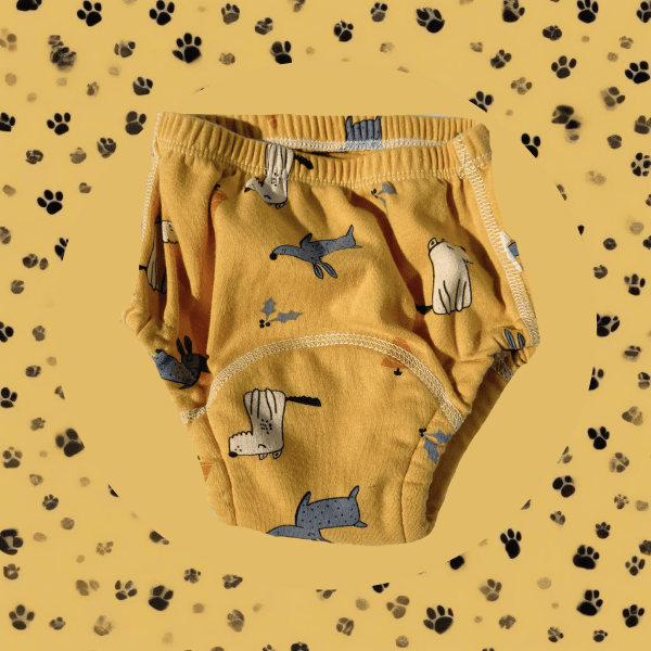 ZoomZillax™ Potty Training Underwear
